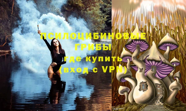 гидра Баксан