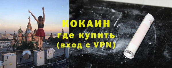 сатива Арсеньев