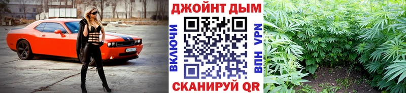 Бошки марихуана план  как найти наркотики  Полесск 